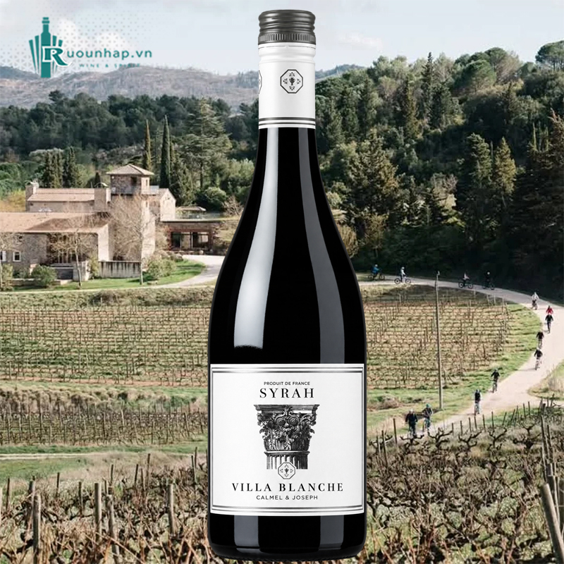 Rượu Vang Villa Blanche Syrah Calmel & Joseph 5 Rượu Vang Villa Blanche Syrah Calmel & Joseph