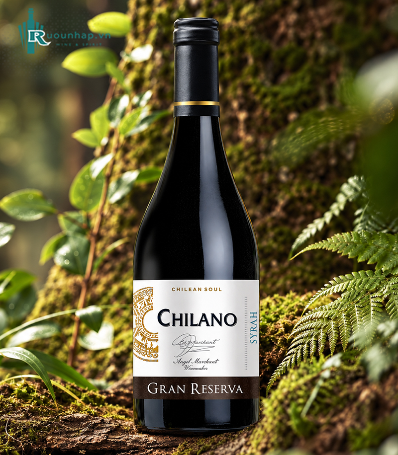 Rượu Vang Chilano Gran Reserva Syrah 4 Rượu Vang Chilano Gran Reserva Syrah