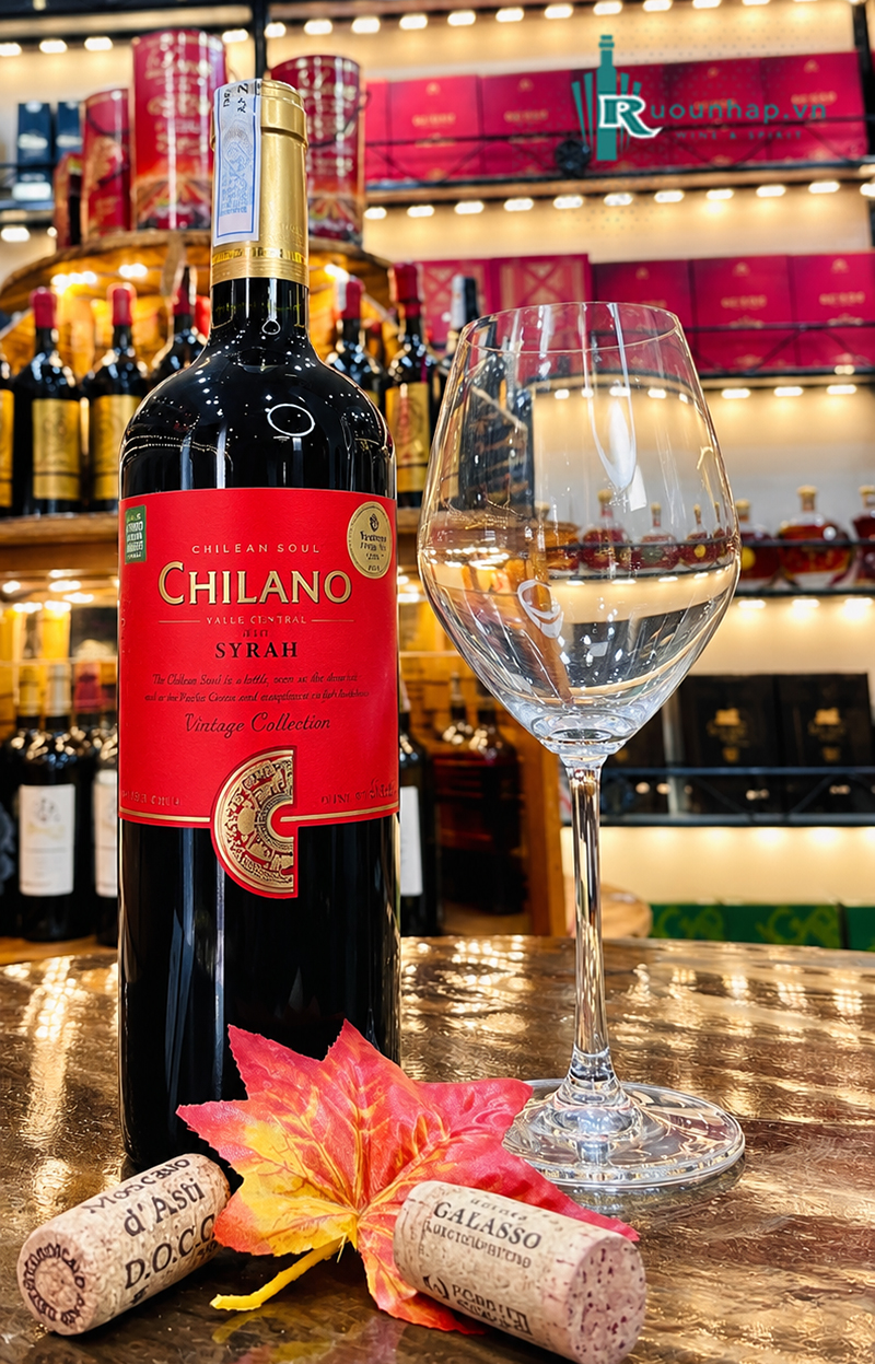 Rượu Vang Chilano Syrah 6 Rượu Vang Chilano Syrah