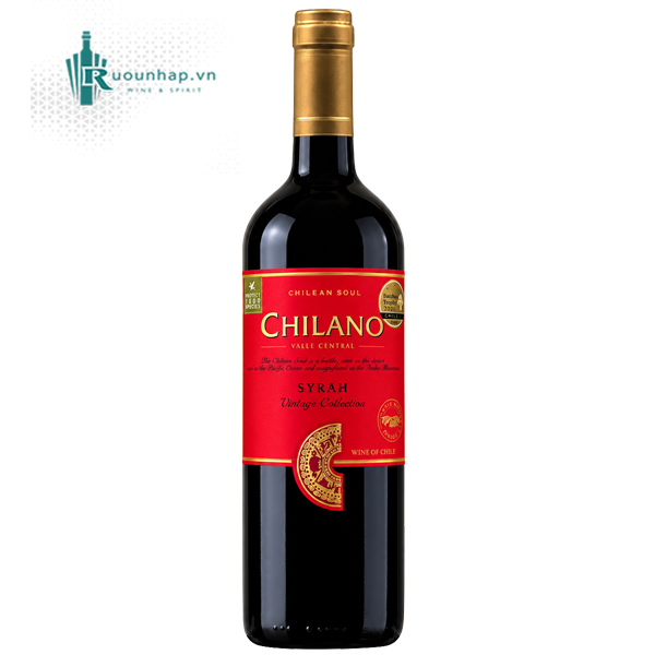 Chilano Syrah Rượu Vang Chilano Syrah