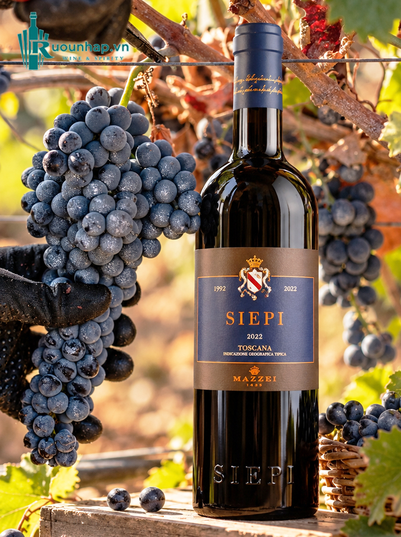 Rượu Vang Mazzei Siepi Toscana 5 Rượu Vang Mazzei Siepi Toscana
