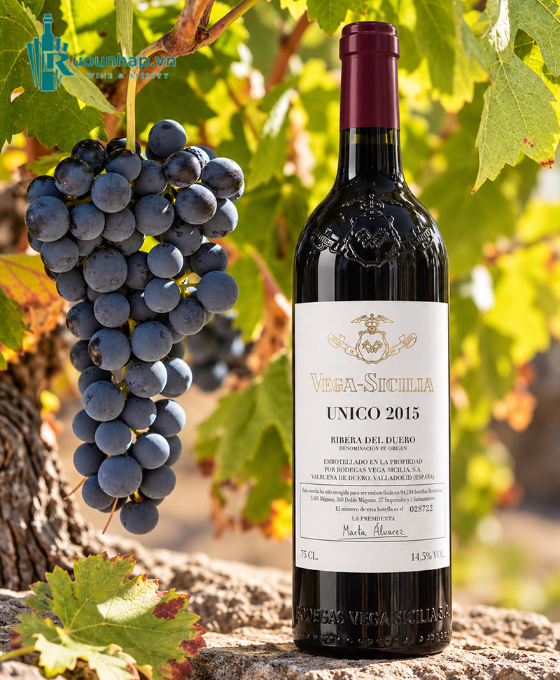 Rượu Vang Vega Sicilia Unico 5 Rượu Vang Vega Sicilia Unico