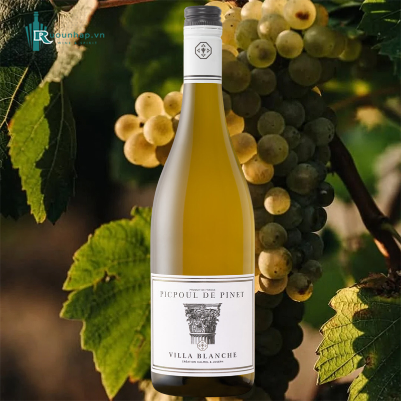 Rượu Vang Villa Blanche Picpoul de Pinet Calmel & Joseph 4 Rượu Vang Villa Blanche Picpoul de Pinet Calmel & Joseph