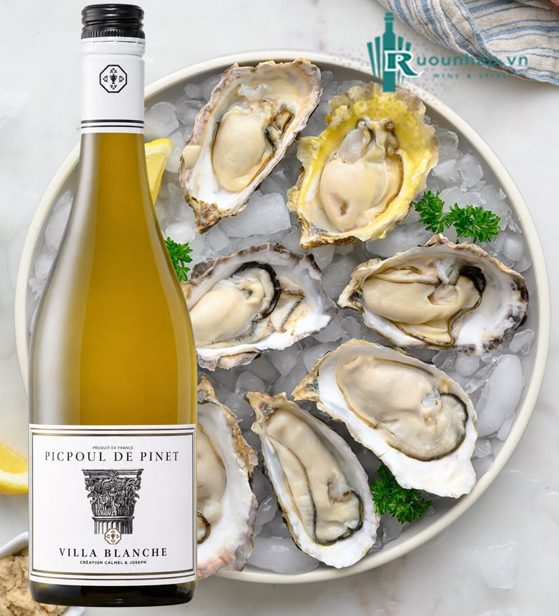 Rượu Vang Villa Blanche Picpoul de Pinet Calmel & Joseph 6 Rượu Vang Villa Blanche Picpoul de Pinet Calmel & Joseph