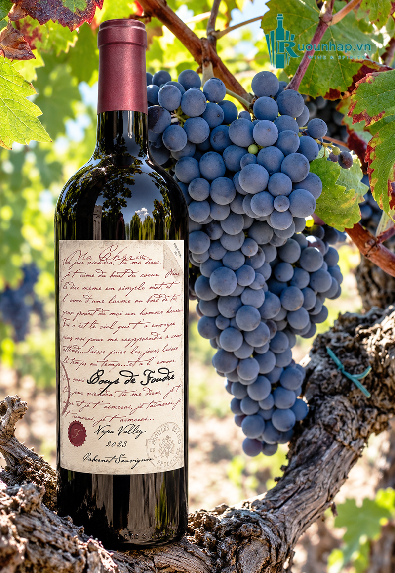 Rượu Vang Coup de Foudre Cabernet Sauvignon 4 Rượu Vang Coup de Foudre Cabernet Sauvignon