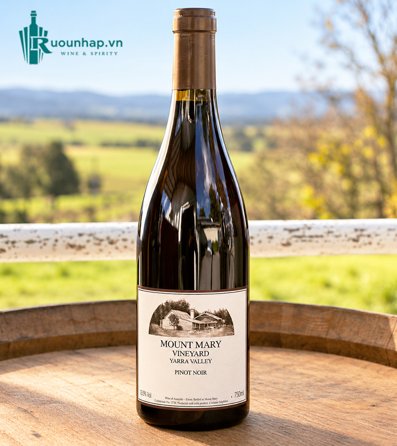 Rượu Vang Mount Mary Pinot Noir 4 Rượu Vang Mount Mary Pinot Noir