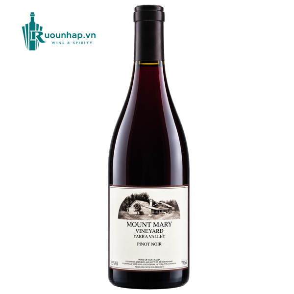 Mount Mary Pinot Noir Rượu Vang Mount Mary Pinot Noir